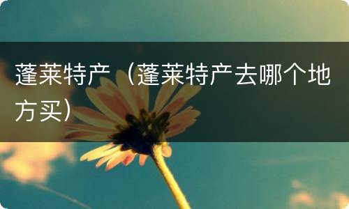 蓬莱特产（蓬莱特产去哪个地方买）