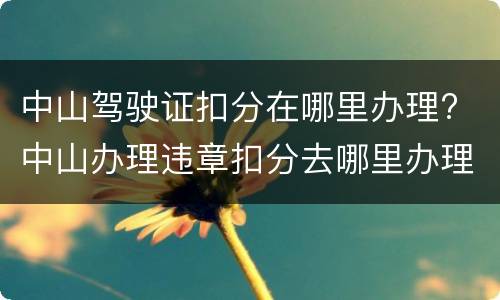 中山驾驶证扣分在哪里办理? 中山办理违章扣分去哪里办理