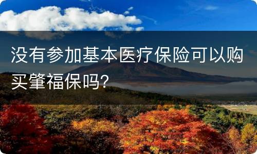 没有参加基本医疗保险可以购买肇福保吗？