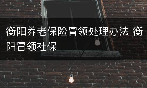 衡阳养老保险冒领处理办法 衡阳冒领社保