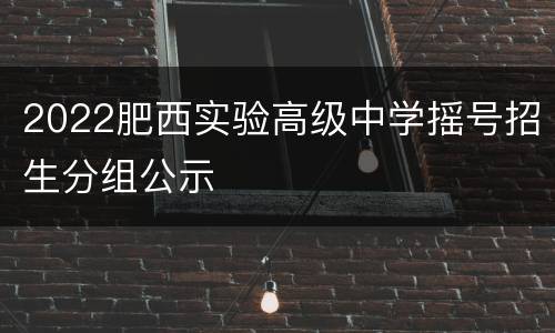 2022肥西实验高级中学摇号招生分组公示