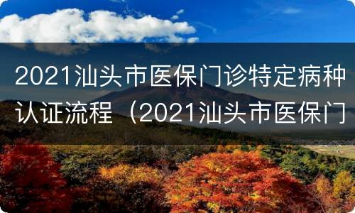 2021汕头市医保门诊特定病种认证流程（2021汕头市医保门诊特定病种认证流程表）