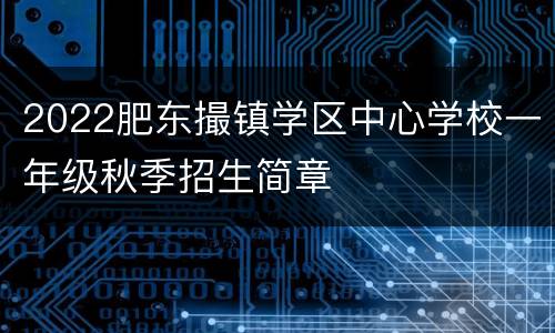 2022肥东撮镇学区中心学校一年级秋季招生简章