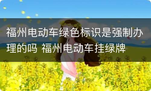 福州电动车绿色标识是强制办理的吗 福州电动车挂绿牌