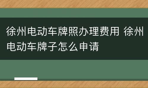 徐州电动车牌照办理费用 徐州电动车牌子怎么申请