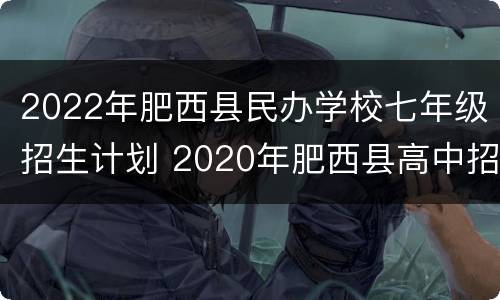 2022年肥西县民办学校七年级招生计划 2020年肥西县高中招生计划