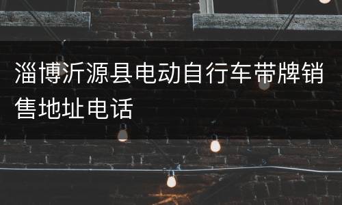 淄博沂源县电动自行车带牌销售地址电话