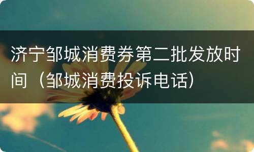 济宁邹城消费券第二批发放时间（邹城消费投诉电话）
