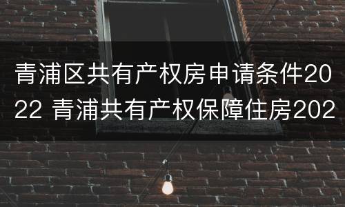 青浦区共有产权房申请条件2022 青浦共有产权保障住房2020
