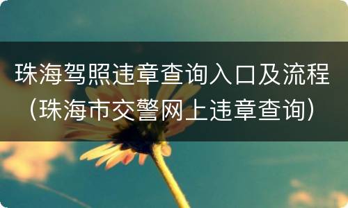 珠海驾照违章查询入口及流程（珠海市交警网上违章查询）