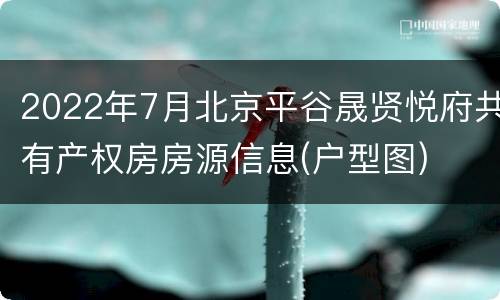 2022年7月北京平谷晟贤悦府共有产权房房源信息(户型图)