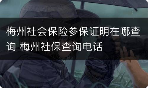 梅州社会保险参保证明在哪查询 梅州社保查询电话