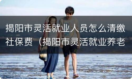 揭阳市灵活就业人员怎么清缴社保费（揭阳市灵活就业养老保险）