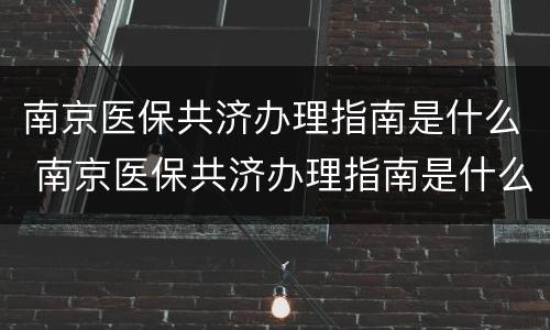 南京医保共济办理指南是什么 南京医保共济办理指南是什么内容