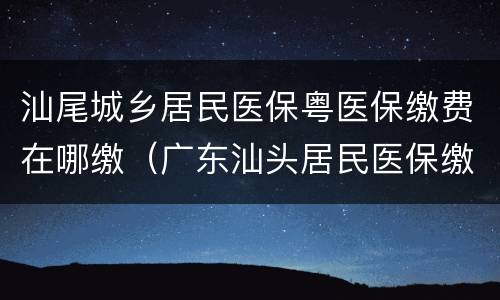 汕尾城乡居民医保粤医保缴费在哪缴（广东汕头居民医保缴费）