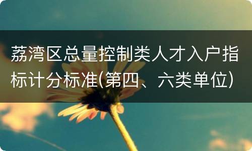 荔湾区总量控制类人才入户指标计分标准(第四、六类单位)