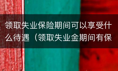 领取失业保险期间可以享受什么待遇（领取失业金期间有保险吗）