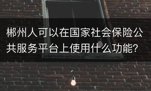 郴州人可以在国家社会保险公共服务平台上使用什么功能？