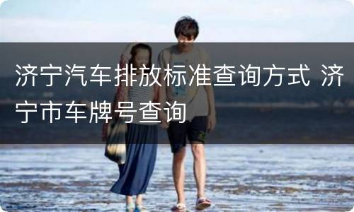 济宁汽车排放标准查询方式 济宁市车牌号查询