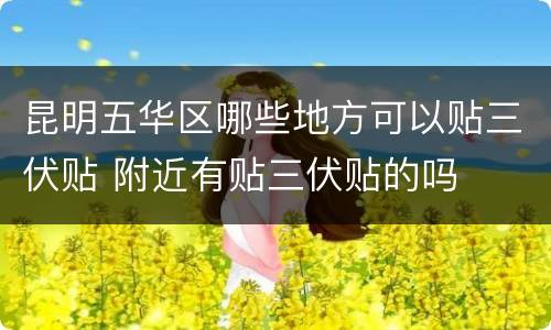 昆明五华区哪些地方可以贴三伏贴 附近有贴三伏贴的吗