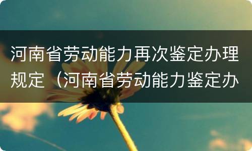 河南省劳动能力再次鉴定办理规定（河南省劳动能力鉴定办法）