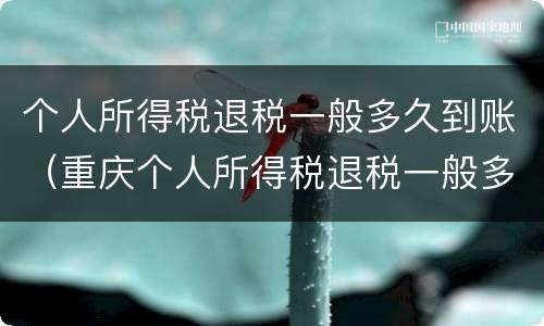个人所得税退税一般多久到账（重庆个人所得税退税一般多久到账）