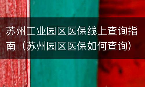 苏州工业园区医保线上查询指南（苏州园区医保如何查询）
