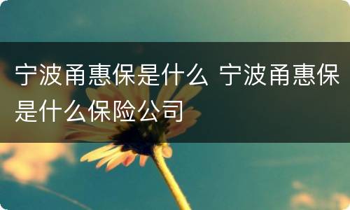 宁波甬惠保是什么 宁波甬惠保是什么保险公司