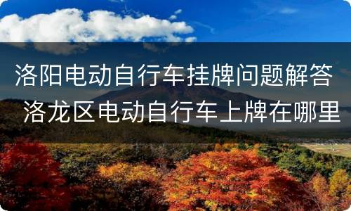 洛阳电动自行车挂牌问题解答 洛龙区电动自行车上牌在哪里