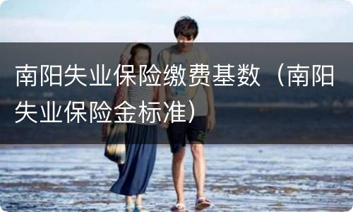 南阳失业保险缴费基数（南阳失业保险金标准）