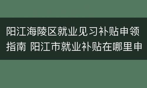 阳江海陵区就业见习补贴申领指南 阳江市就业补贴在哪里申请