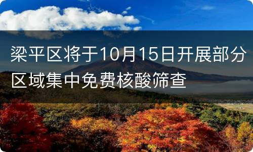 梁平区将于10月15日开展部分区域集中免费核酸筛查