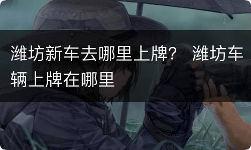 潍坊新车去哪里上牌？ 潍坊车辆上牌在哪里