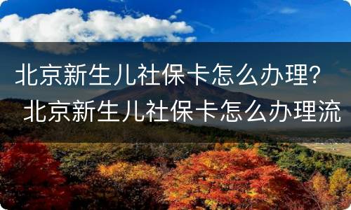 北京新生儿社保卡怎么办理？ 北京新生儿社保卡怎么办理流程