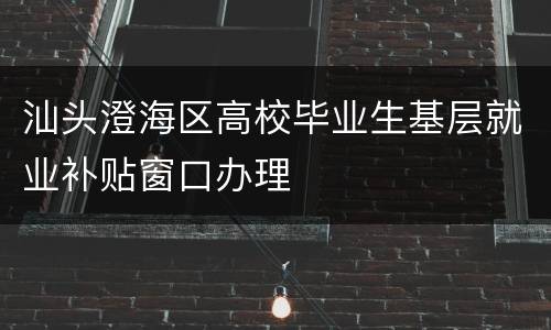 汕头澄海区高校毕业生基层就业补贴窗口办理