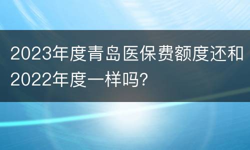 2023年度青岛医保费额度还和2022年度一样吗？