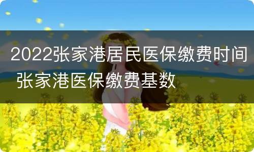 2022张家港居民医保缴费时间 张家港医保缴费基数