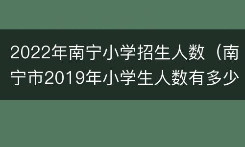 2022年南宁小学招生人数（南宁市2019年小学生人数有多少）