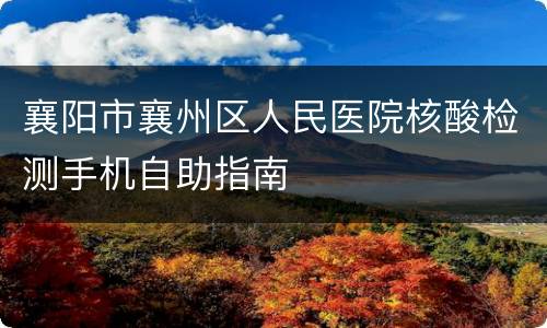 襄阳市襄州区人民医院核酸检测手机自助指南