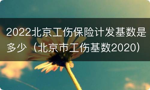 2022北京工伤保险计发基数是多少（北京市工伤基数2020）