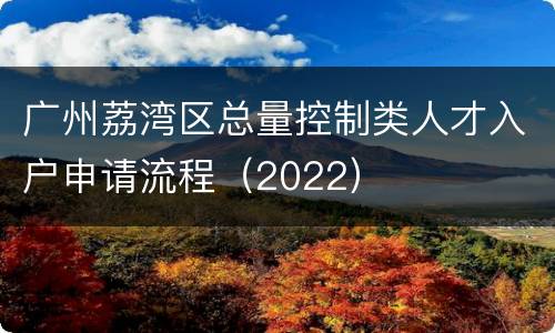 广州荔湾区总量控制类人才入户申请流程（2022）