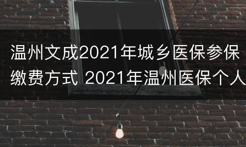 温州文成2021年城乡医保参保缴费方式 2021年温州医保个人账户