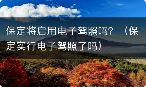 保定将启用电子驾照吗？（保定实行电子驾照了吗）