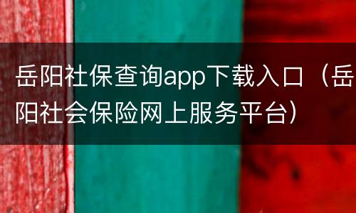 岳阳社保查询app下载入口（岳阳社会保险网上服务平台）