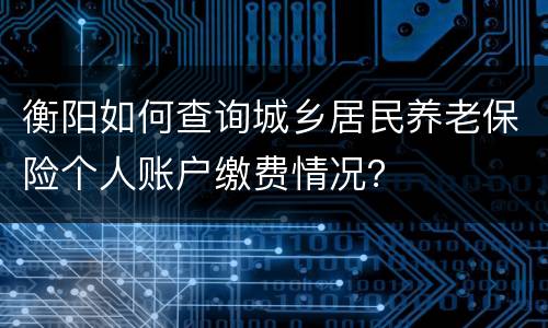 衡阳如何查询城乡居民养老保险个人账户缴费情况？