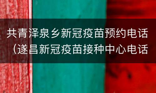 共青泽泉乡新冠疫苗预约电话（遂昌新冠疫苗接种中心电话）