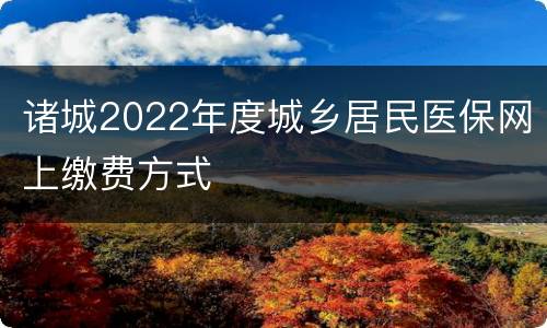 诸城2022年度城乡居民医保网上缴费方式