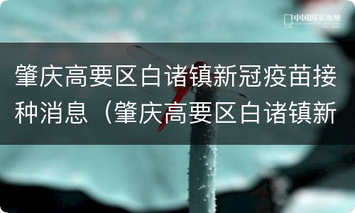 肇庆高要区白诸镇新冠疫苗接种消息（肇庆高要区白诸镇新冠疫苗接种消息电话）