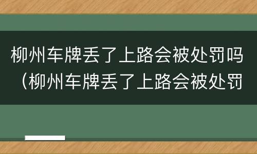 柳州车牌丢了上路会被处罚吗（柳州车牌丢了上路会被处罚吗）