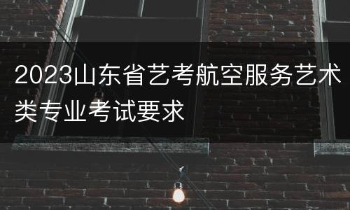 2023山东省艺考航空服务艺术类专业考试要求